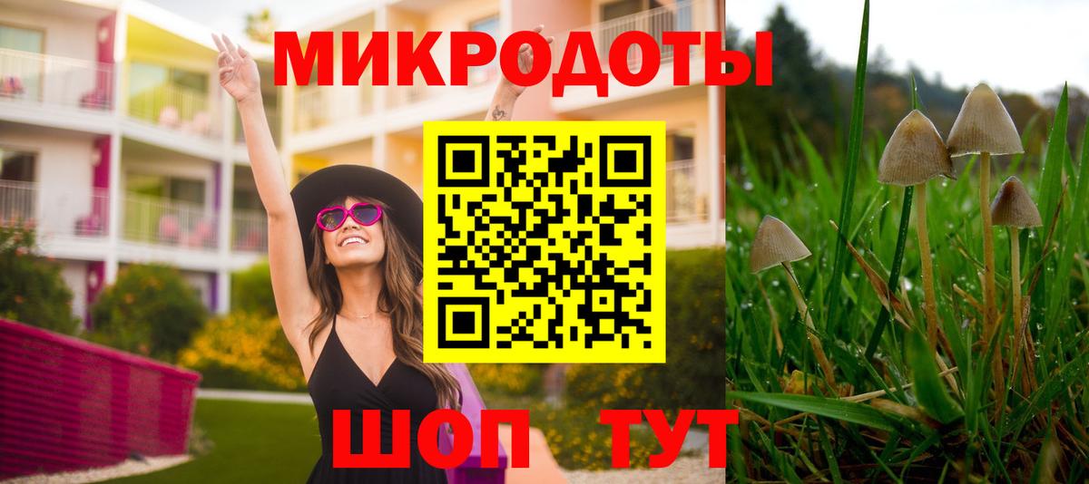 Камышин  где купить наркотик  Вход с VPN  Псилоцибиновые грибы Magic Shrooms  Галлюциногенные грибы мицелий 